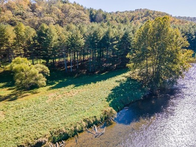 Experience the ultimate riverside retreat on this premier 5-acre - photo 4