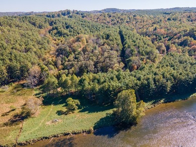 Experience the ultimate riverside retreat on this premier 5-acre - photo 5