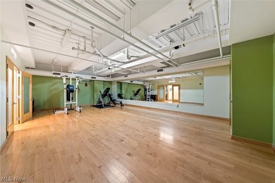 Elevated Living in the Heart of Downtown Cleveland! Welcome to - photo 37