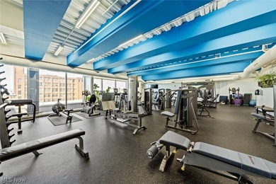 Elevated Living in the Heart of Downtown Cleveland! Welcome to - photo 38