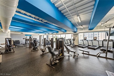 Elevated Living in the Heart of Downtown Cleveland! Welcome to - photo 40