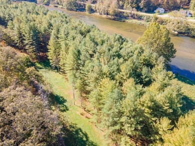 Experience the ultimate riverside retreat on this premier 5-acre - photo 10