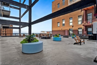 Elevated Living in the Heart of Downtown Cleveland! Welcome to - photo 43