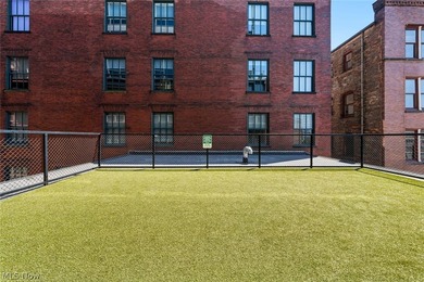 Elevated Living in the Heart of Downtown Cleveland! Welcome to - photo 44