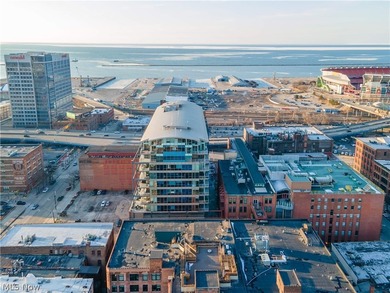 Elevated Living in the Heart of Downtown Cleveland! Welcome to - photo 45