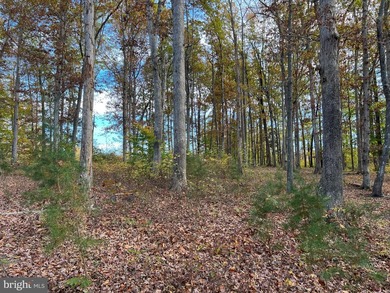 Waterfront lot in one of the lake's most prestigious - photo 3