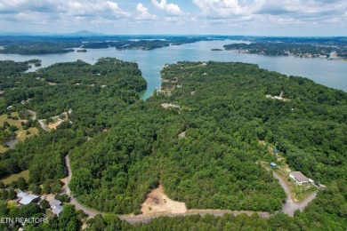 Douglas Lake Lot For Sale in Dandridge Tennessee