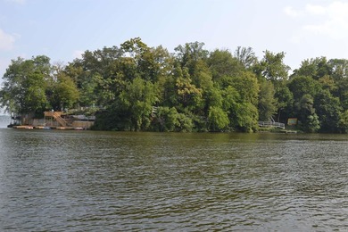 Anchor Bay Resort is one of the area's premier turnkey lakefront - photo 36