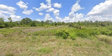 Lehigh Acres Area Lot For Sale in Lehigh Acres Florida