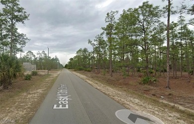 Lehigh Acres Area Lot For Sale in Lehigh Acres Florida