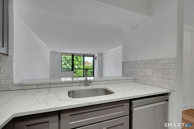 Experience refined luxury living at The Classic, one of downtown - photo 11