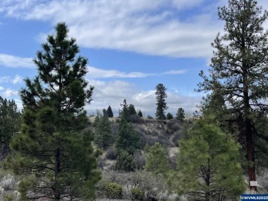 Lake Lot For Sale in Chiloquin, Oregon