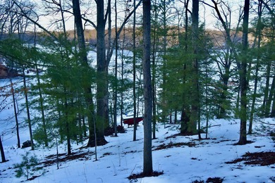 (private lake, pond, creek) Lot For Sale in Nineveh Indiana