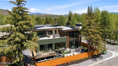 This brand new constructed home in Thaynes Canyon offers the - photo 3