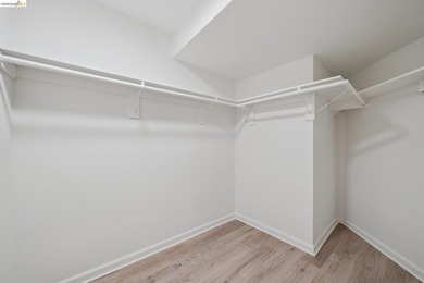 Refined North Berkeley Craftsman with Legal ADU, Private Garden - photo 36