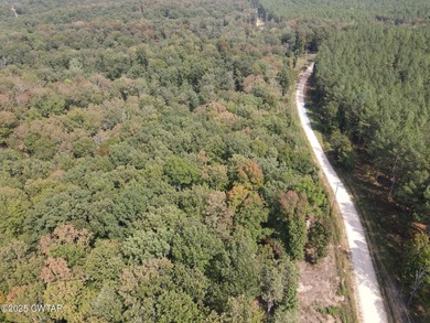 Kentucky Lake Acreage For Sale in Waverly Tennessee