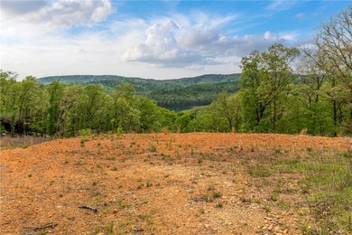 Dreaming of peaceful lake living? This 2.65-acre parcel offers - photo 3