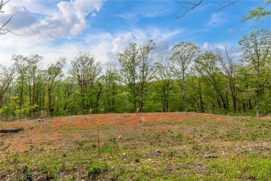 Dreaming of peaceful lake living? This 2.65-acre parcel offers - photo 6
