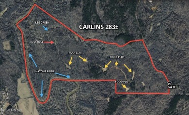 Lake Acreage For Sale in Hornsby, Tennessee