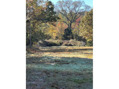 Lake Acreage Off Market in Athens (Area), Texas