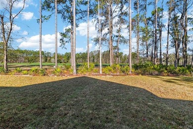 Beautiful 4 bedroom 3.5 bath home with dedicated office/den or - photo 25