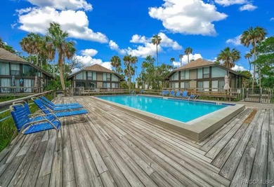 Waterfront Living at Its Finest - Perfect Getaway or Investment - photo 30