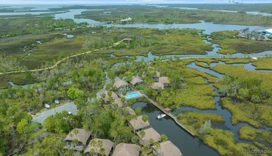 Waterfront Living at Its Finest - Perfect Getaway or Investment - photo 39