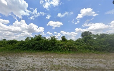 Lake Lot For Sale in Lehigh Acres, Florida