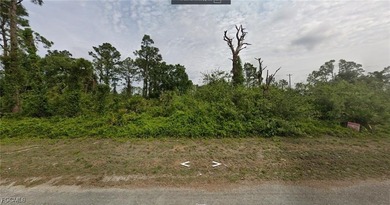 Lehigh Acres Area Lot For Sale in Lehigh Acres Florida