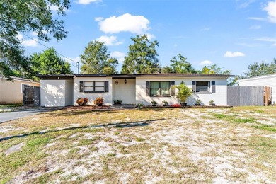 Lake Dora Home For Sale in Mount Dora Florida