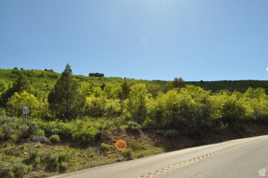 Witts Lake  Acreage For Sale in Heber City Utah