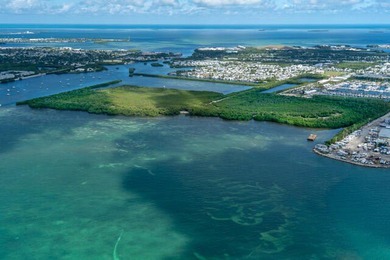 A rare opportunity to own a private island minutes from Key West - photo 1