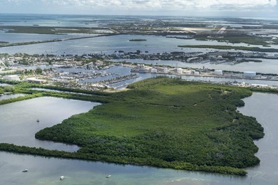 A rare opportunity to own a private island minutes from Key West - photo 4