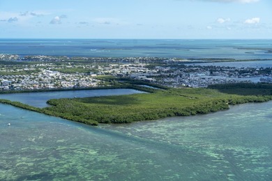 A rare opportunity to own a private island minutes from Key West - photo 5