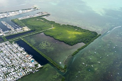 A rare opportunity to own a private island minutes from Key West - photo 6