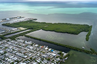 A rare opportunity to own a private island minutes from Key West - photo 8