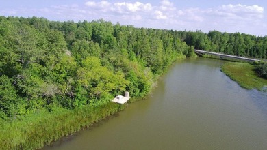 Serenity, woods and water....LOTS of water! Offering a rare 5 - photo 5