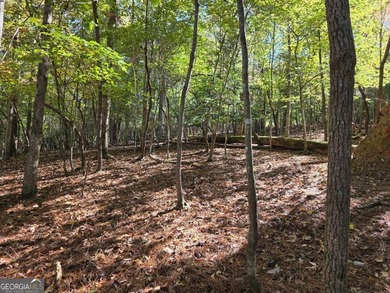 Are you thinking of a gentle almost Level lot... with seasonal - photo 1