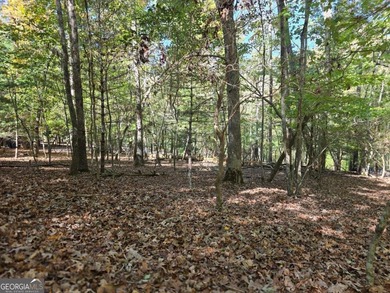 Are you thinking of a gentle almost Level lot... with seasonal - photo 7