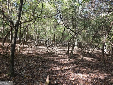Are you thinking of a gentle almost Level lot... with seasonal - photo 8