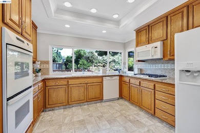 KIMBER PARK, MISSION SAN JOSE!! **OPEN HOME SAT. & SUN., JULY - photo 11