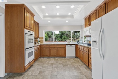 KIMBER PARK, MISSION SAN JOSE!! **OPEN HOME SAT. & SUN., JULY - photo 12