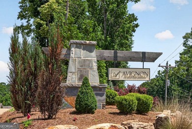 Like-New East-Facing Home in the Highly Desirable Avignon - photo 30