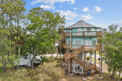WATERFRONT HOUSE FOR SALE IN Suwannee!! This charming 3-bedroom - photo 44