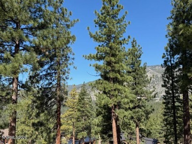 Tucked along the forest's edge, this exceptional homesite backs - photo 5
