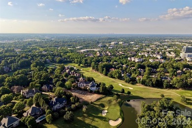 OPEN HOUSE: Saturday, 7/25 from 11-1 pm! A rare double-lot - photo 6