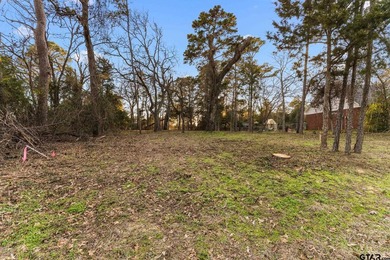 Cumberland Ridge Lake Community Lot - photo 3