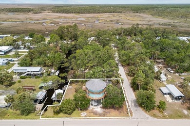 WATERFRONT HOUSE FOR SALE IN Suwannee!! This charming 3-bedroom - photo 55