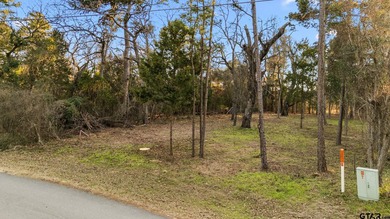 Cumberland Ridge Lake Community Lot - photo 10