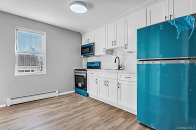 Welcome to 171-38 105 Avenue, a beautifully renovated two-family - photo 8